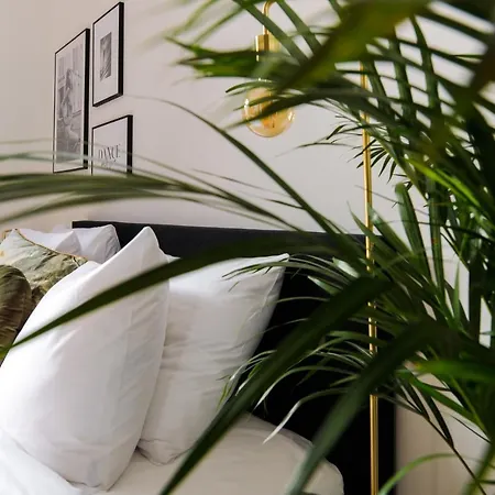 Otel Boutique 43 Zaandam-amsterdam