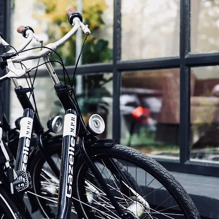 Boutique 43 Zaandam-amsterdam