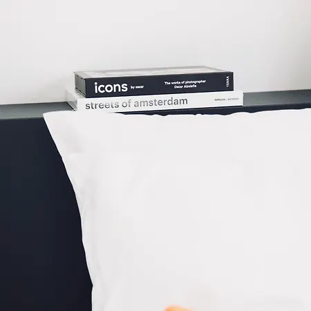 Otel Boutique 43 Zaandam-amsterdam 2*