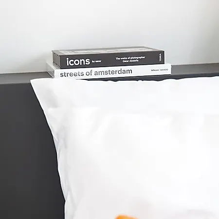 Hotel Boutique 43 Amsterdam - Zaandam