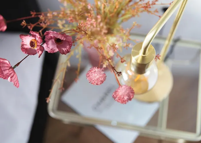 Boutique 43 Amsterdam - Zaandam 호텔 2*