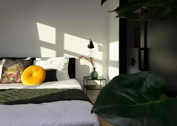 Boutique 43 Amsterdam - Zaandam 2*