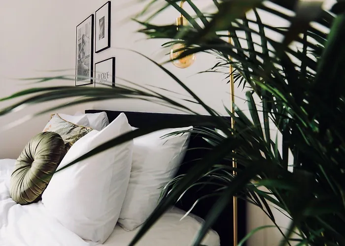 호텔 Boutique 43 Amsterdam - Zaandam Koog aan de Zaan