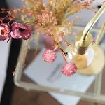 Boutique 43 Amsterdam - Zaandam Szálloda 2*