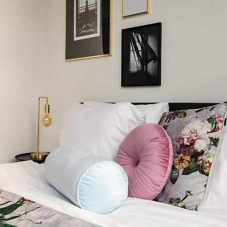 Boutique 43 Zaandam-amsterdam Отель 2*