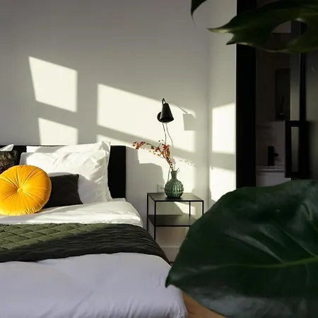 Boutique 43 Zaandam-amsterdam 2*